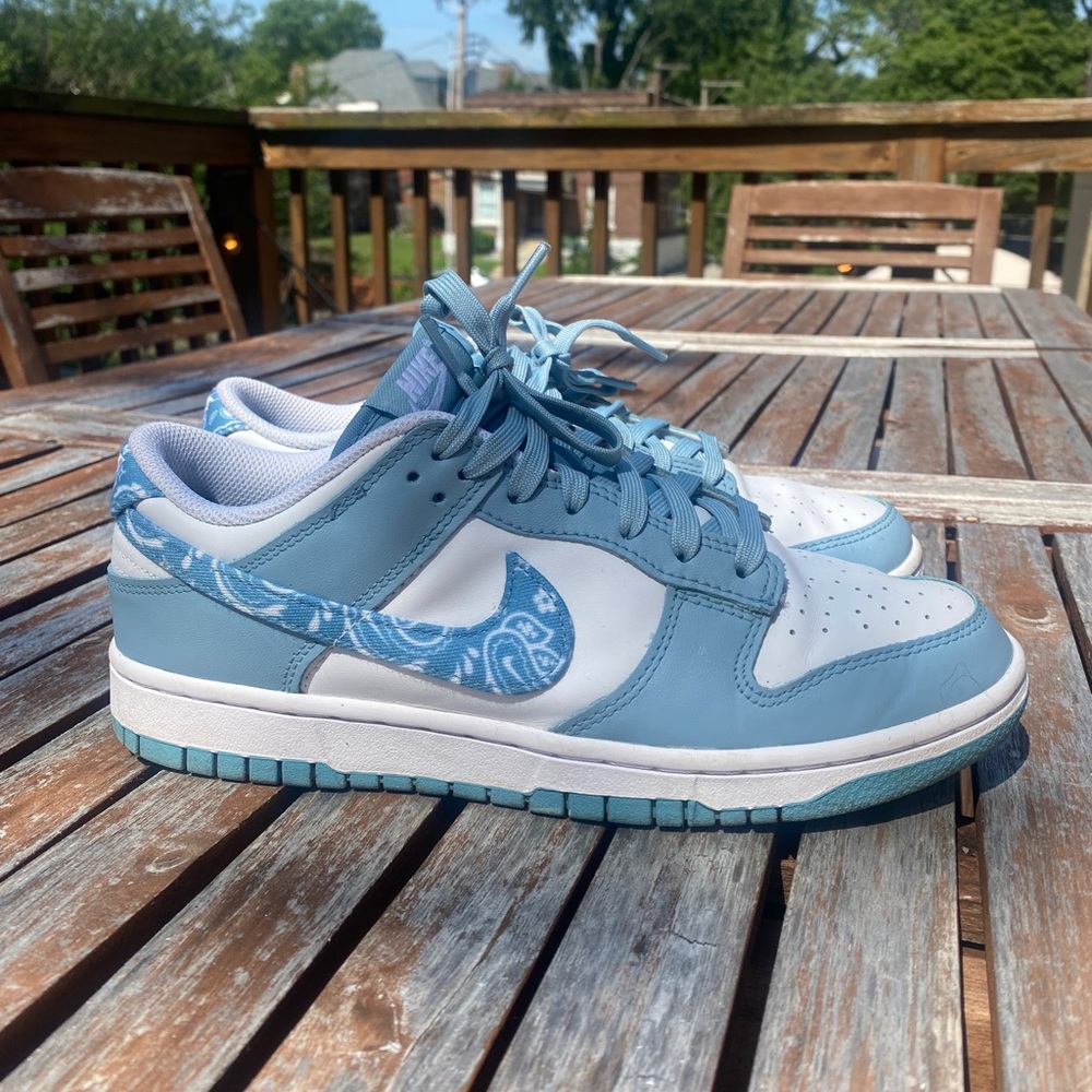 Nike Paisley Dunks w 8.5